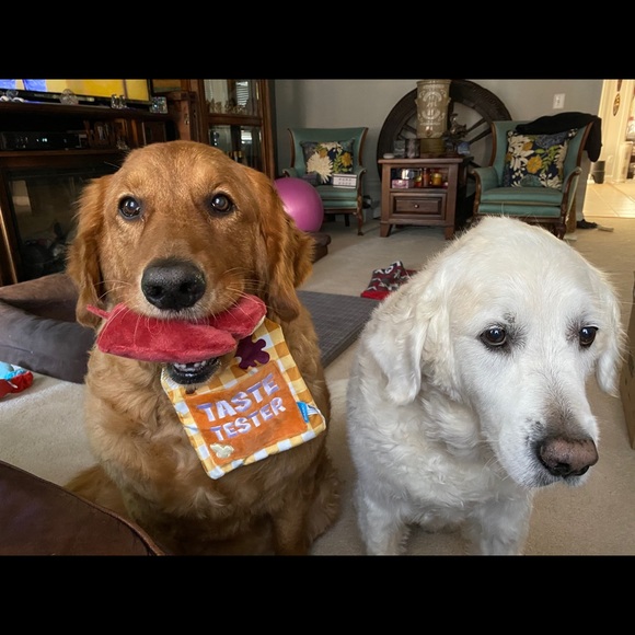 Meet your Posher, Philip - Picture 1 of 1